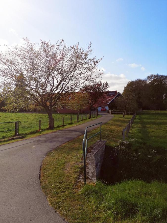 Am Waldrand Apartamento Schuettorf Exterior foto